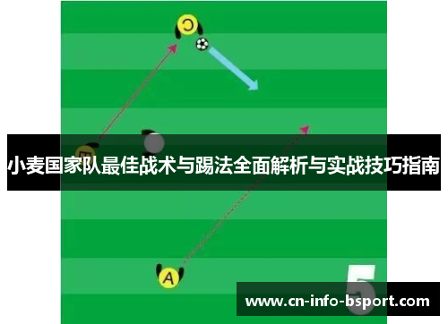 小麦国家队最佳战术与踢法全面解析与实战技巧指南