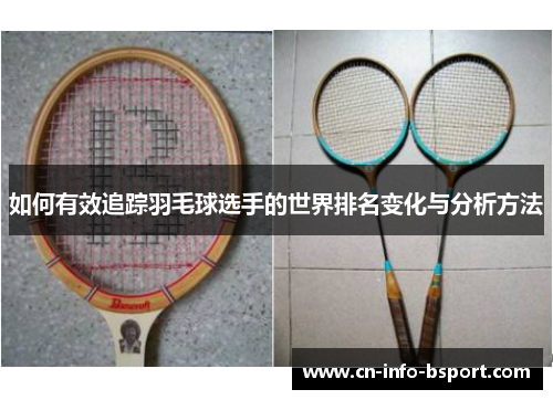 如何有效追踪羽毛球选手的世界排名变化与分析方法